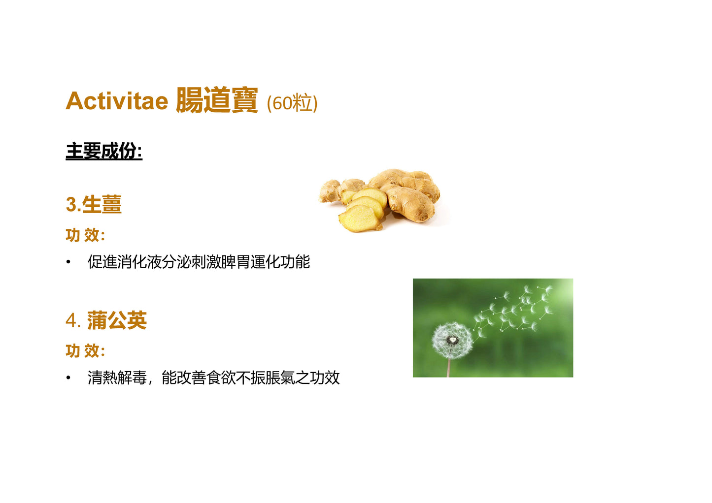 Activitae™ Gut Guard – 腸道寳