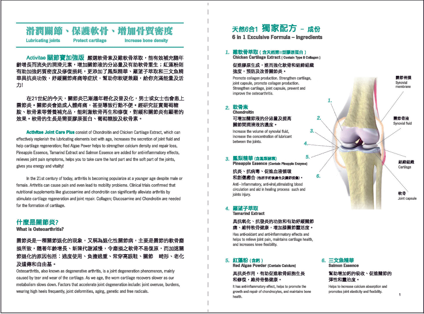 Acti Joint Care Plus - 關節寶